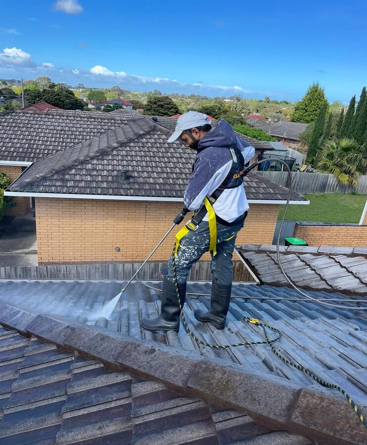 Roof Painting in Frankston South
