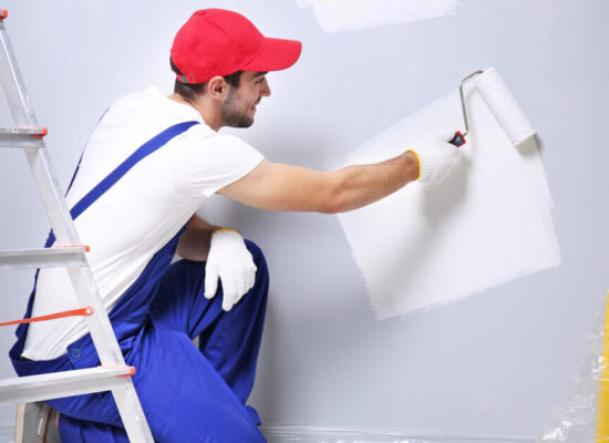 Domestic Home Painting Services